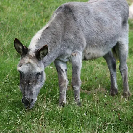 La Cibourg, Centre De Hotel 2*