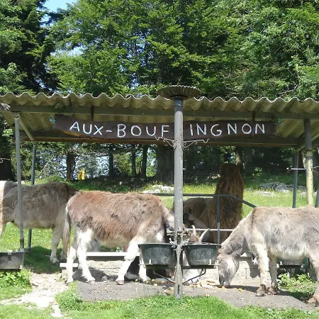 La Cibourg, Centre De 2*