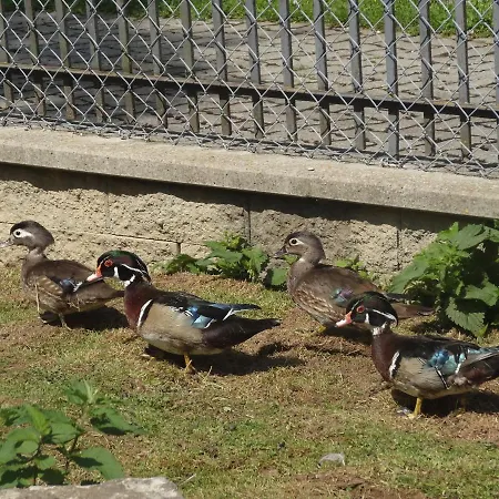 La Cibourg, Centre De 2*