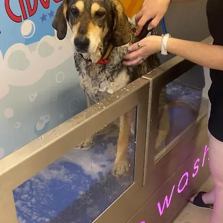 ホテル La Cibourg, Centre De