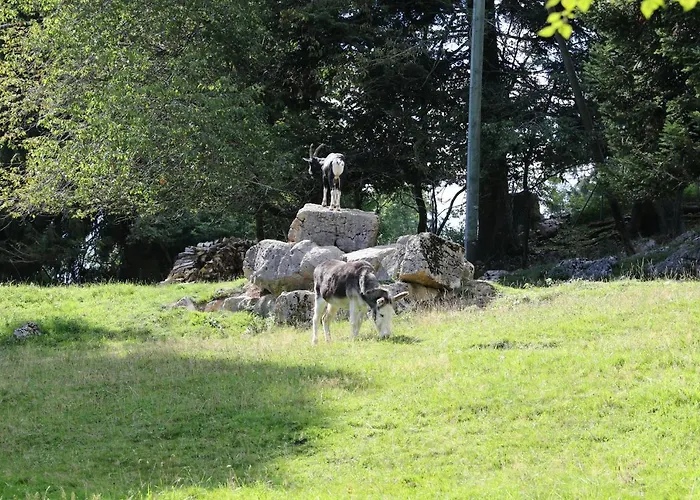 ホテル La Cibourg, Centre De Renan