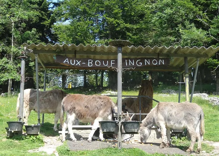 La Cibourg, Centre De 2*