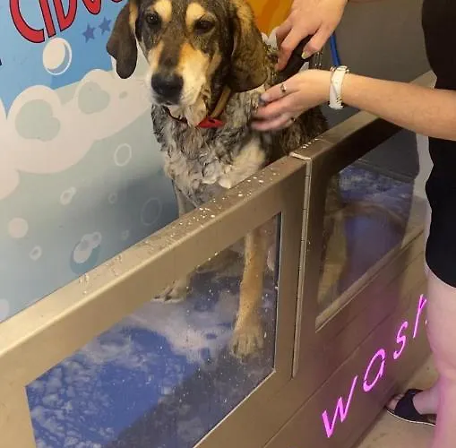 ホテル La Cibourg, Centre De