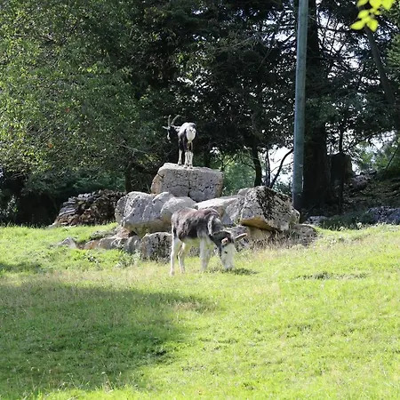 Szálloda La Cibourg, Centre De Renan