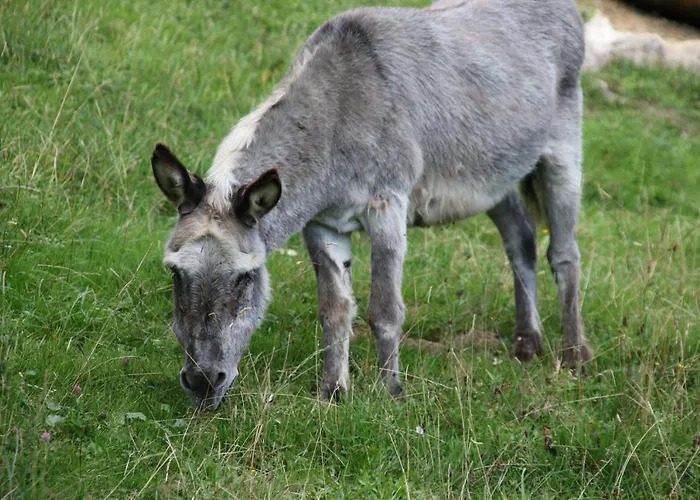 La Cibourg, Centre De Hotel 2*