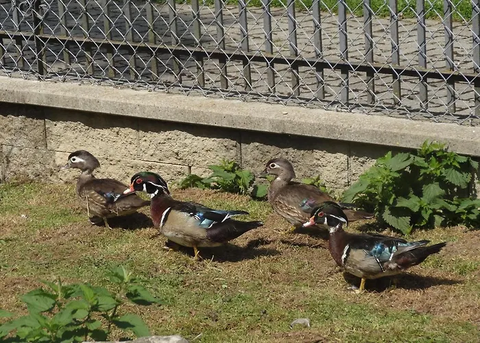 La Cibourg, Centre De 2*